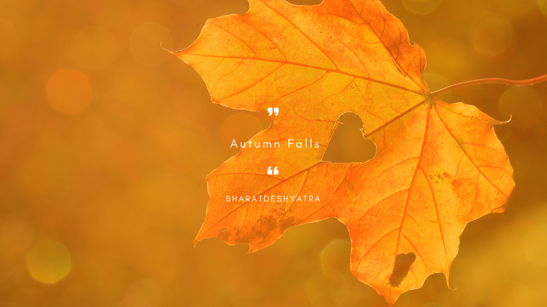 Autumn Falls